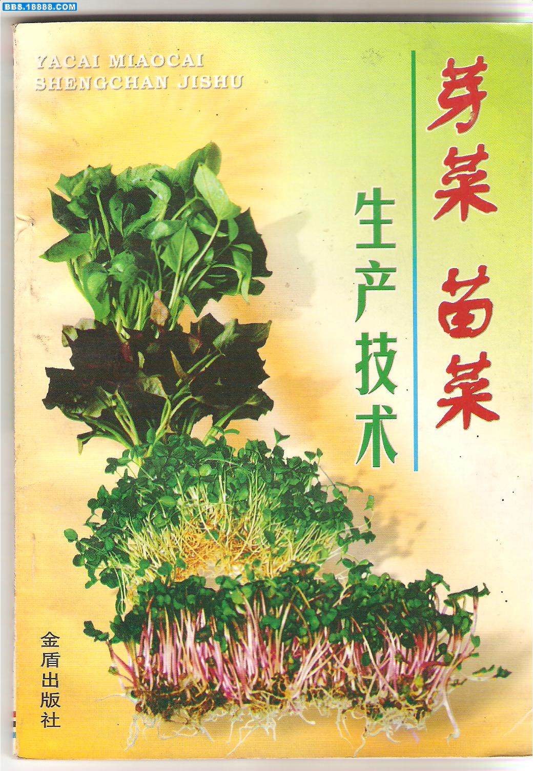 照片 003.jpg