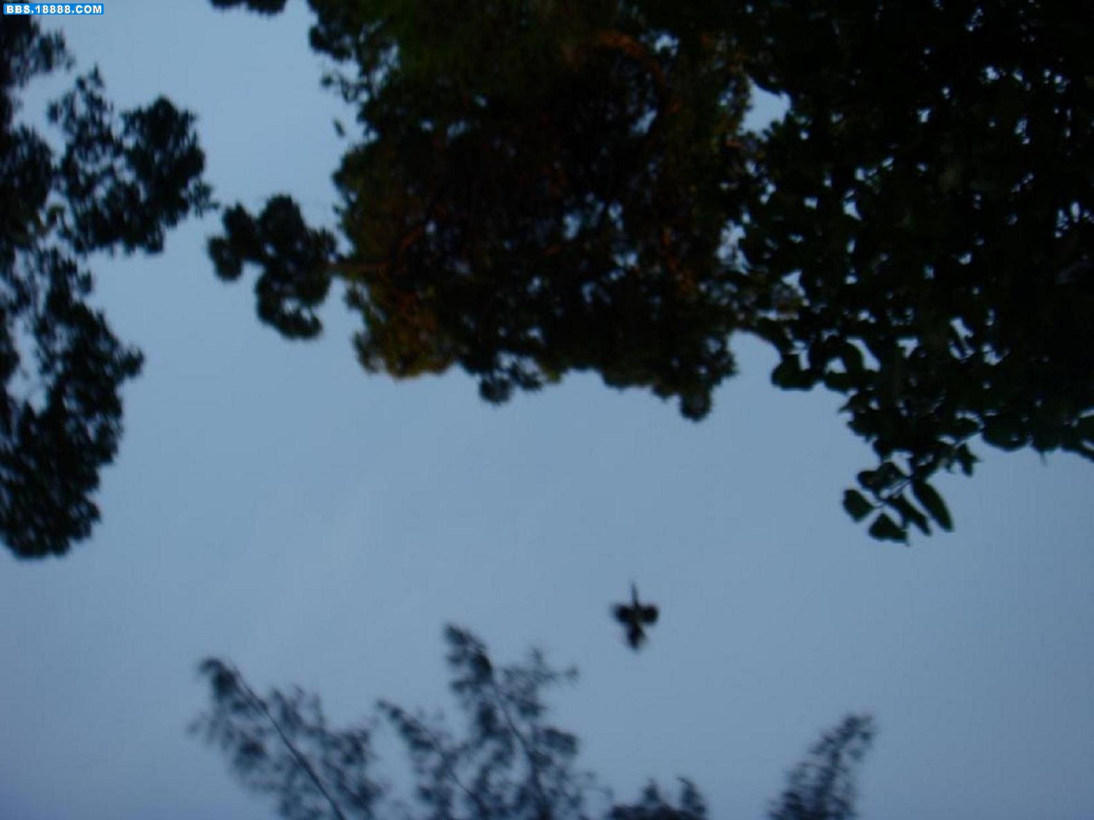DSC04604.JPG