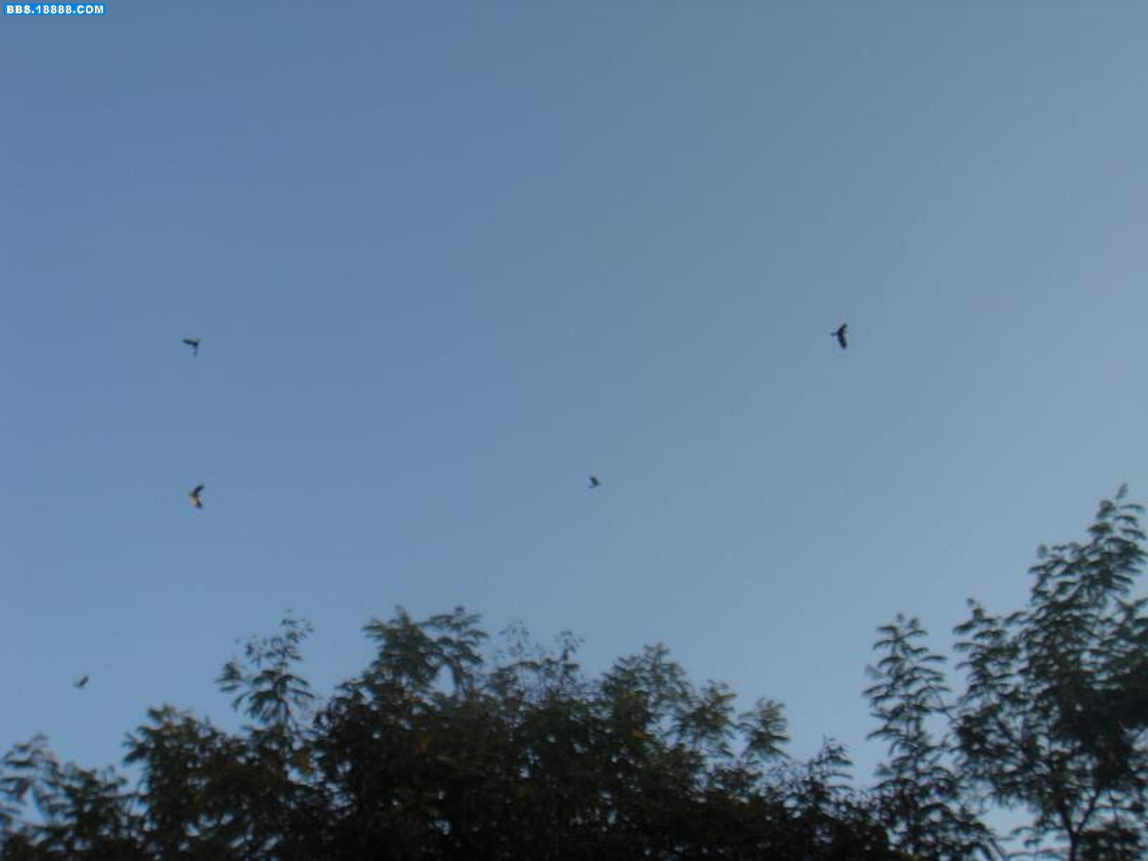 DSC04727.JPG
