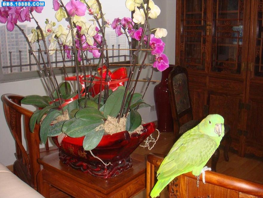 DSC04800.JPG