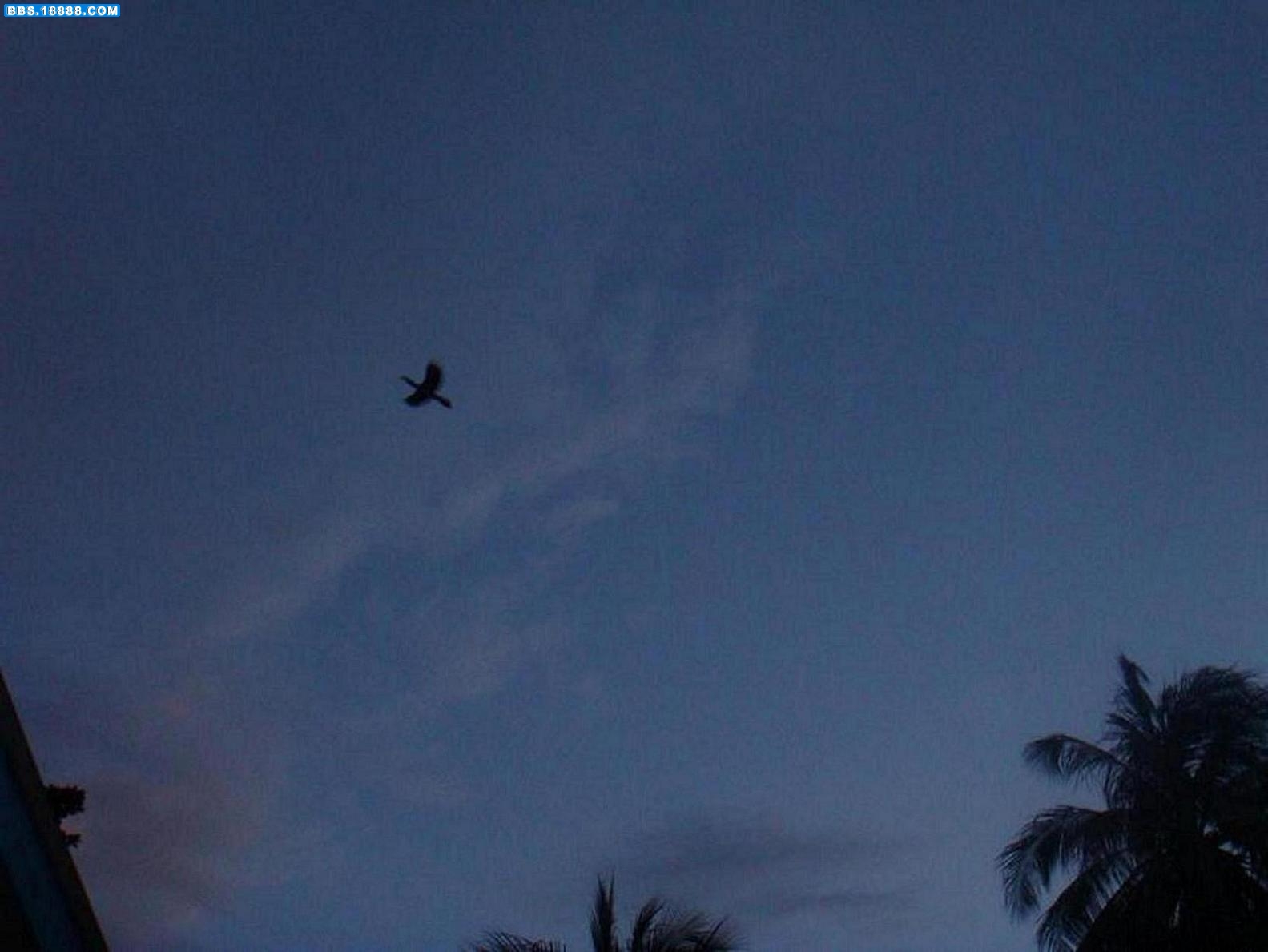DSC04475.JPG