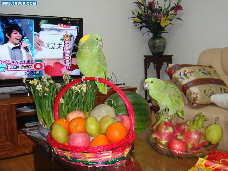 DSC04807.JPG