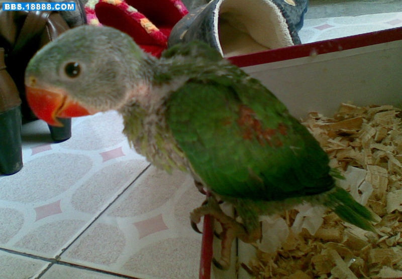 20100225.JPG