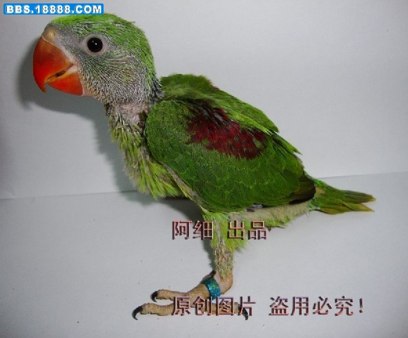 未命名1.jpg