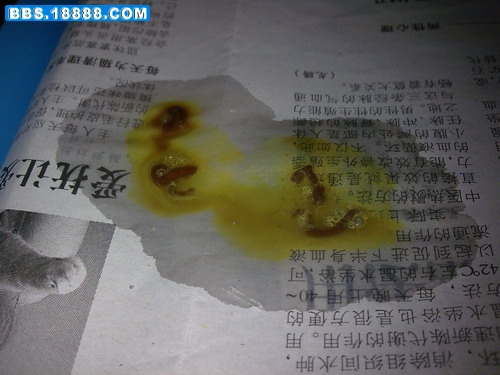 图像069.JPG