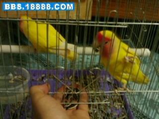 20090318_118.jpg