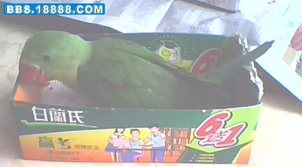 照片 046.jpg