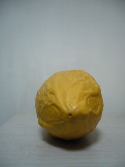 P1140675_调整大小.JPG