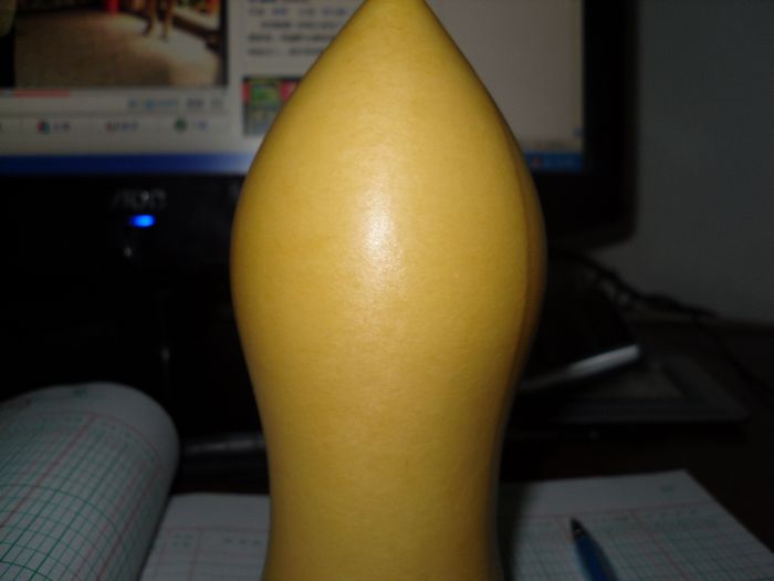 SDC10556.JPG