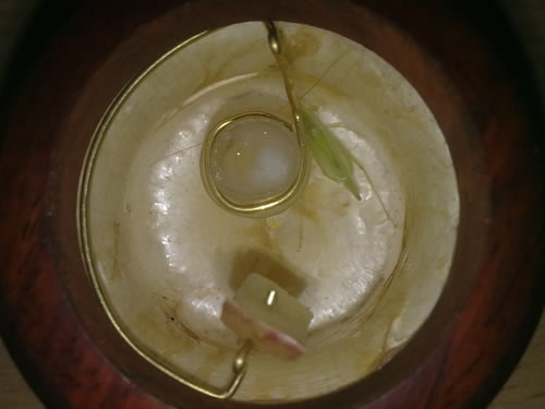 201002231021.jpg