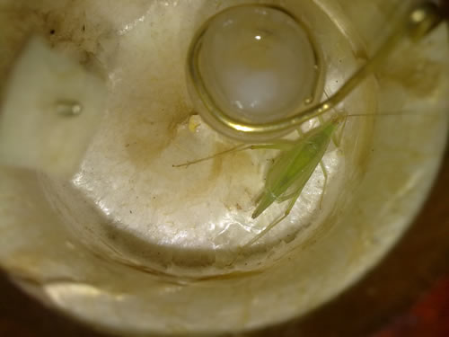 201002231022.jpg