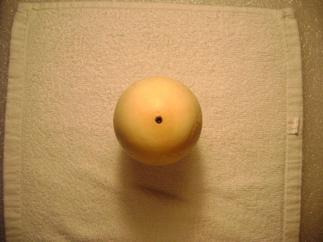 DSC01954.JPG