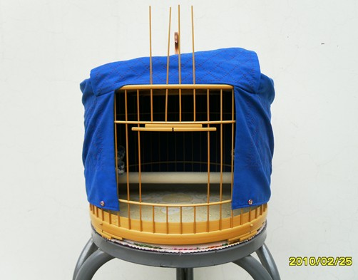 SDC11631_副本.jpg