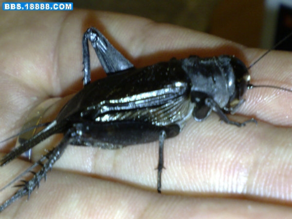 201002071136.jpg