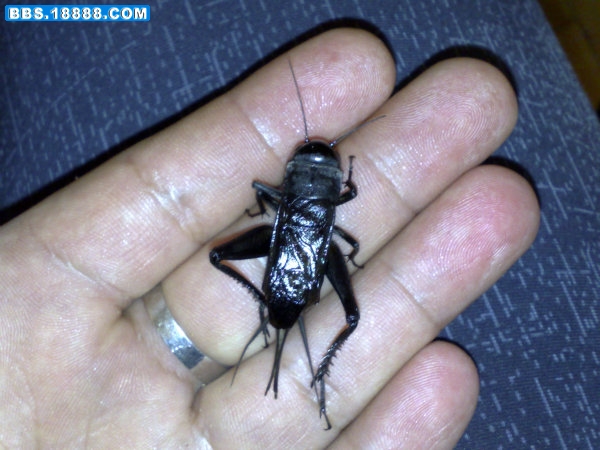 201002071134.jpg
