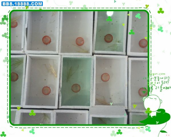 nEO_IMG_PICT0874.jpg