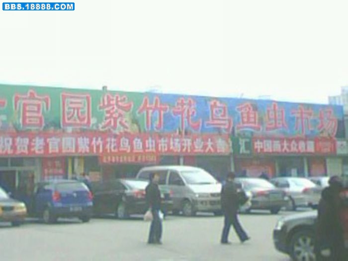 西 北.jpg