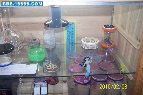 07.jpg