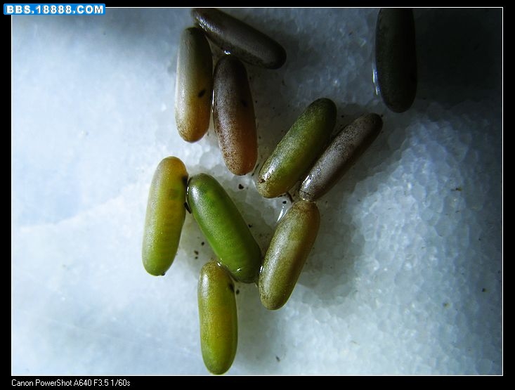 nEO_IMG_照片 048.jpg