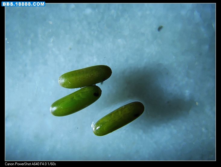 nEO_IMG_照片 046.jpg