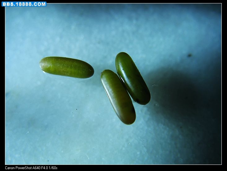 nEO_IMG_照片 047.jpg