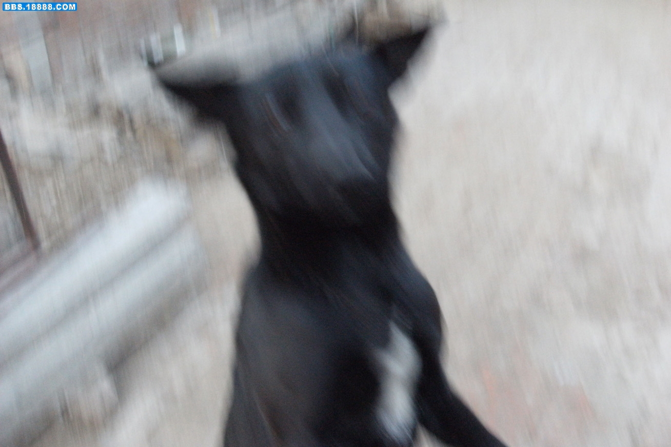 DSCF5682.jpg