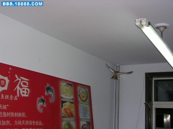 DSCN1199.JPG