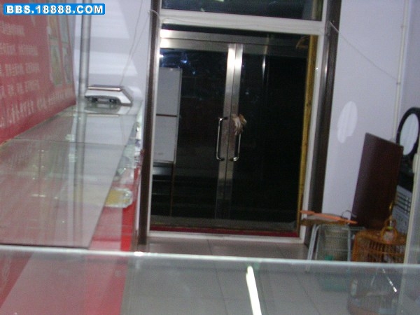DSCN1206.JPG