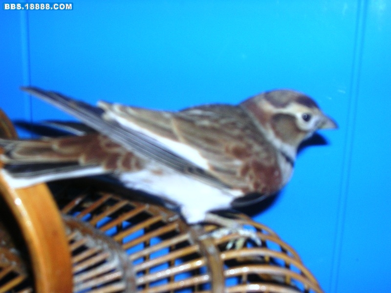 DSCN8013.JPG
