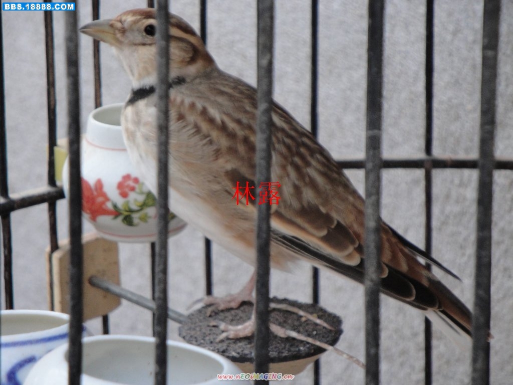 DSC00456.JPG