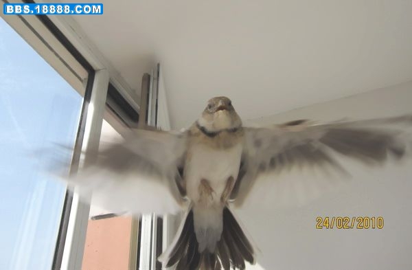 上传3.jpg