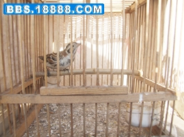 DSCF7966.JPG