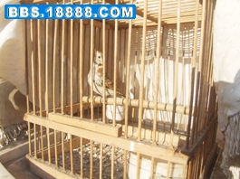 DSCF7961.JPG