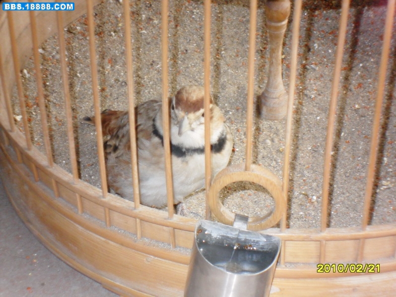 SDC11314_缩小大小.JPG