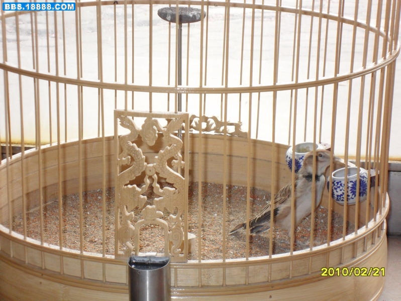 SDC11282_缩小大小.JPG
