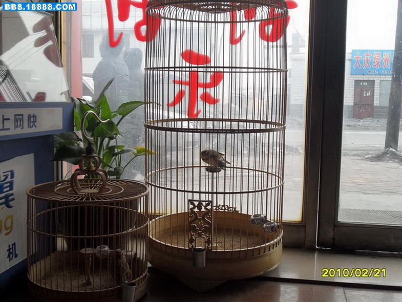 SDC11300_缩小大小_缩小大小_缩小大小_缩小大小.JPG
