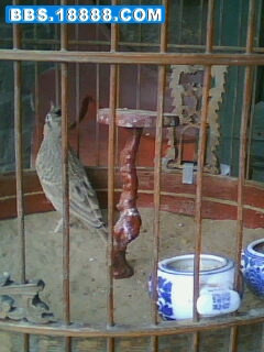 IMG0040A.jpg