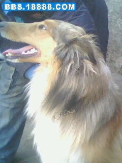 IMG0006D.jpg