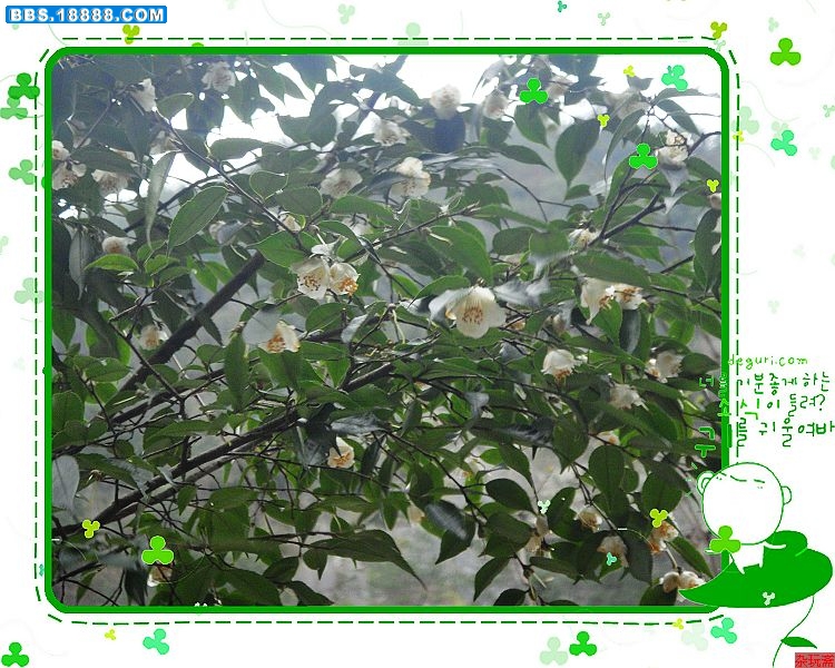 05小花.jpg