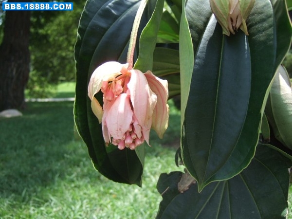 100_84572_acda7dd7a6894df.jpg