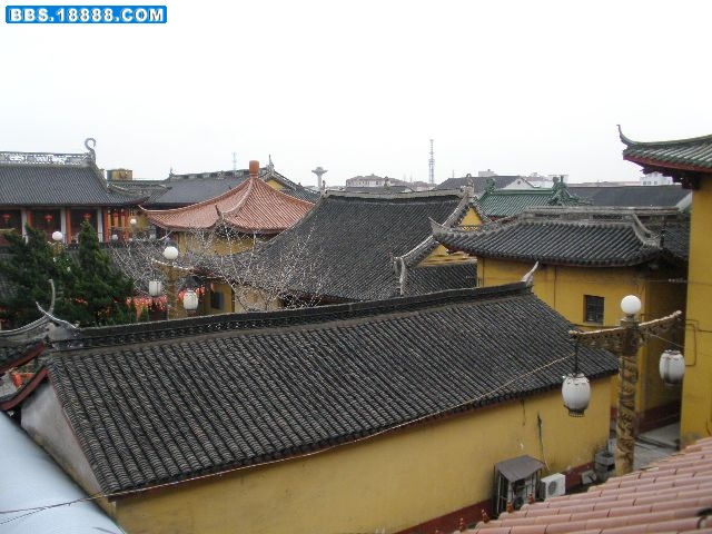 P3070027.jpg