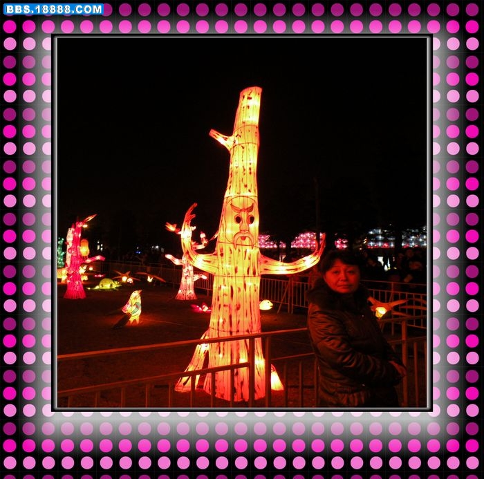 DSCN4922.jpg