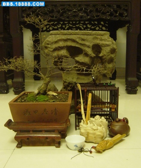 未命名.jpg