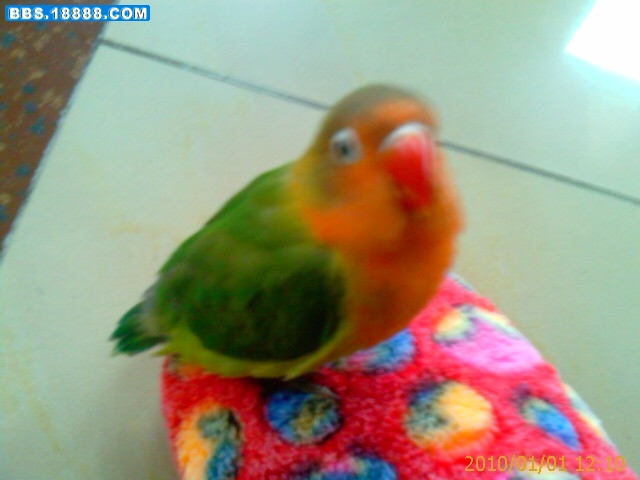 IMAG0202.jpg
