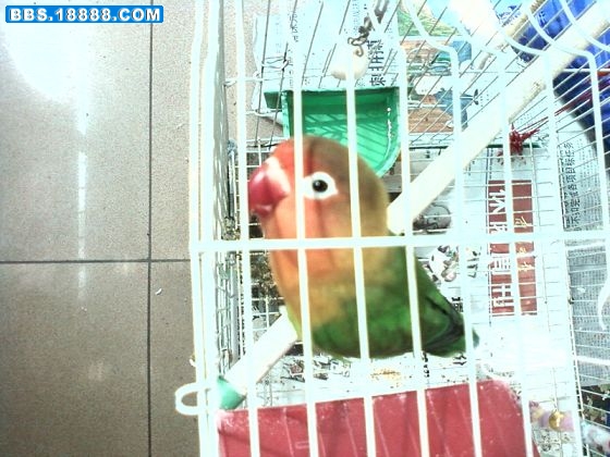 照片-0019.jpg