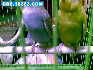 20100316(001).jpg