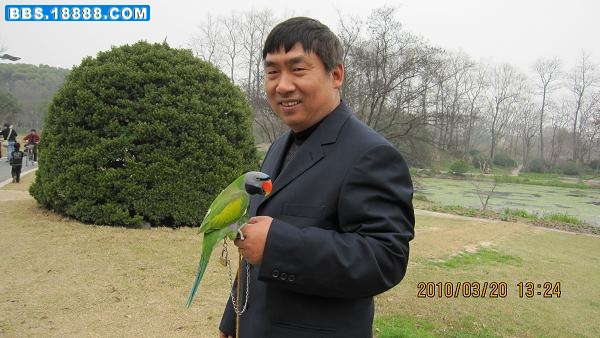 4.JPG