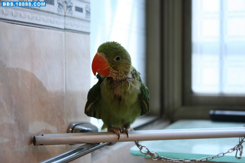 20100326_0329.JPG