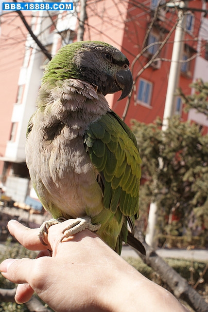 DSC05925.jpg
