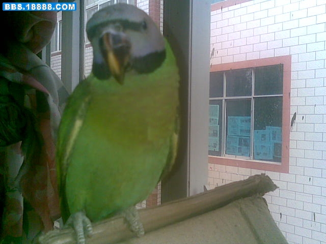 20100323(021).jpg